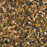 Golden Pea 2-5mm